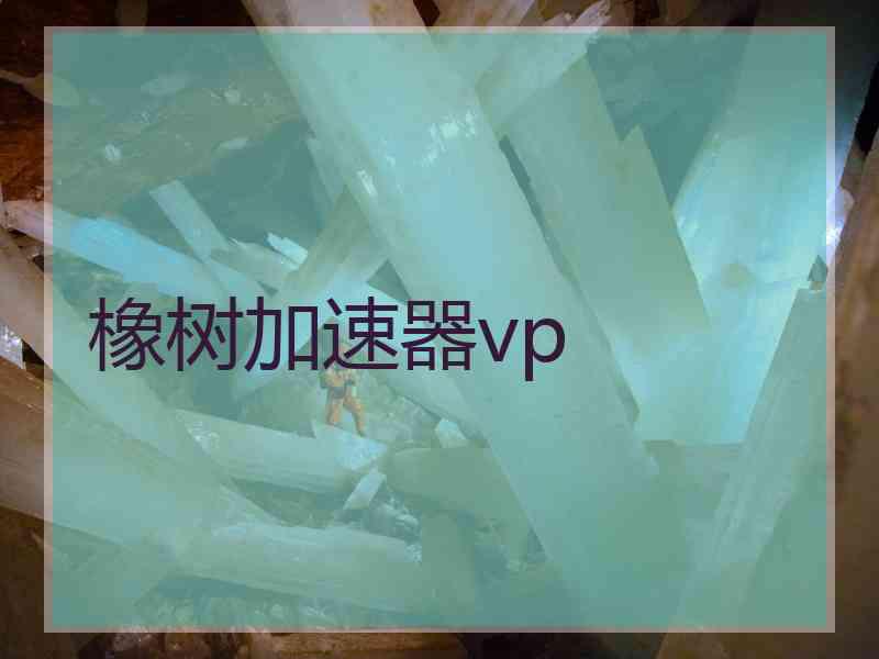 橡树加速器vp