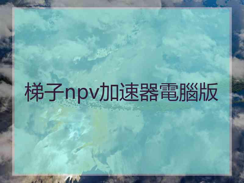 梯子npv加速器電腦版