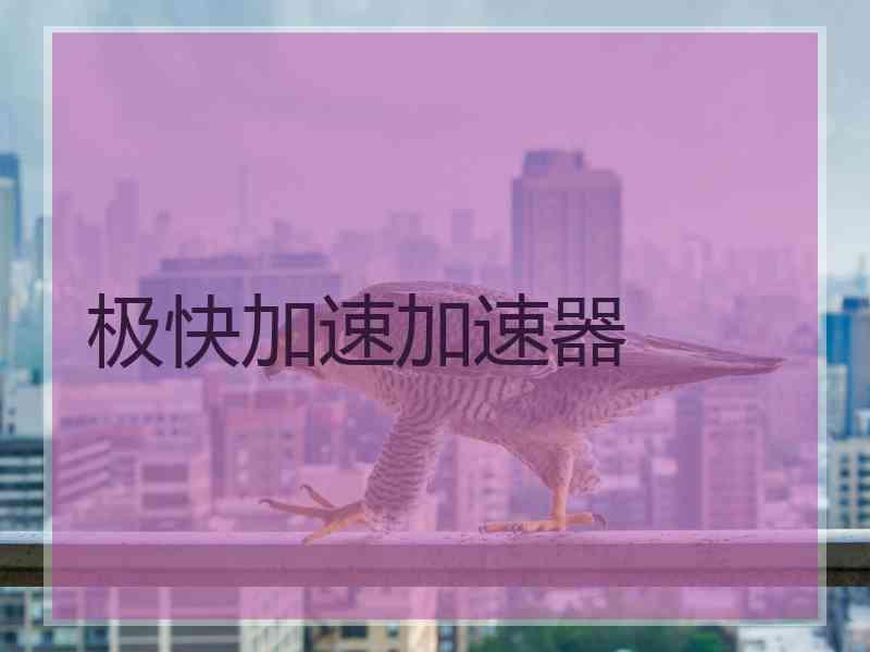 极快加速加速器