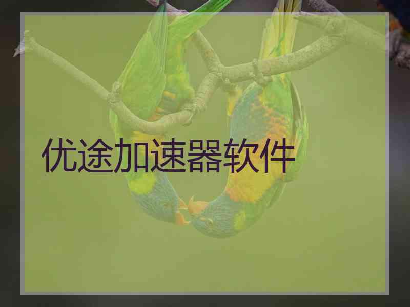 优途加速器软件
