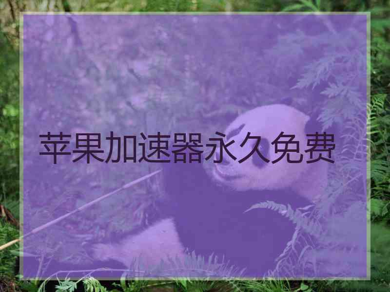 苹果加速器永久免费