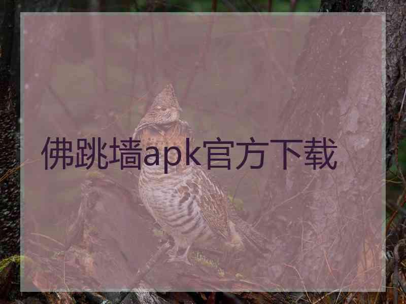 佛跳墙apk官方下载