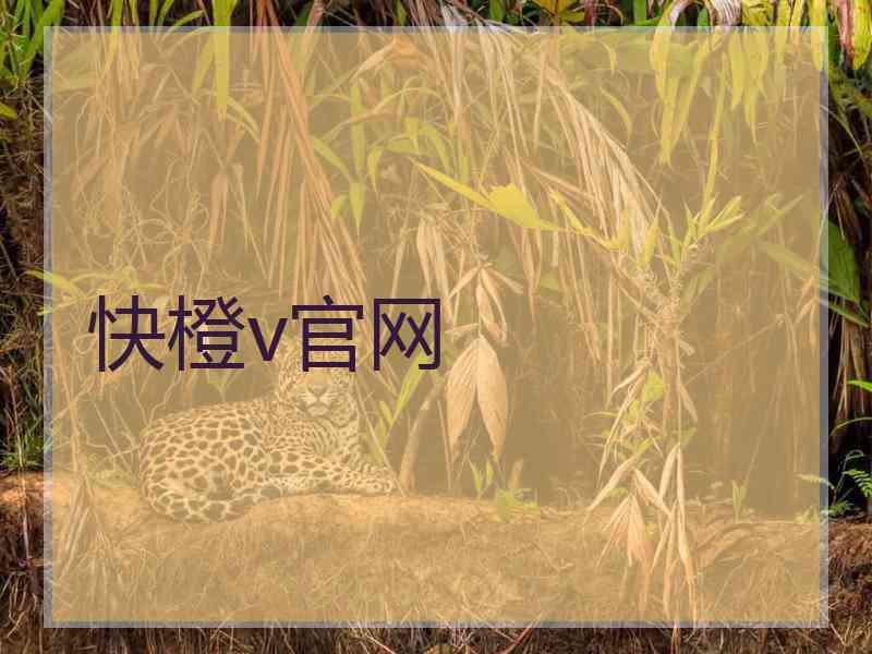 快橙v官网