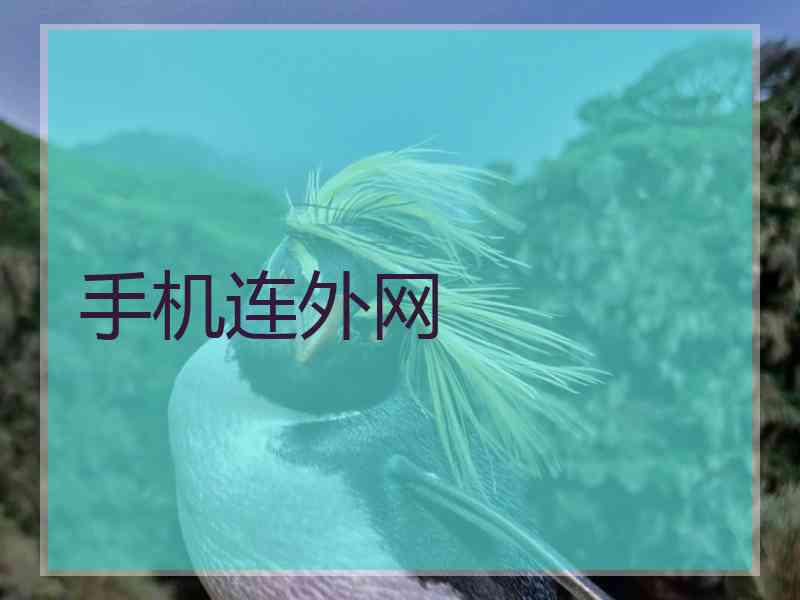 手机连外网