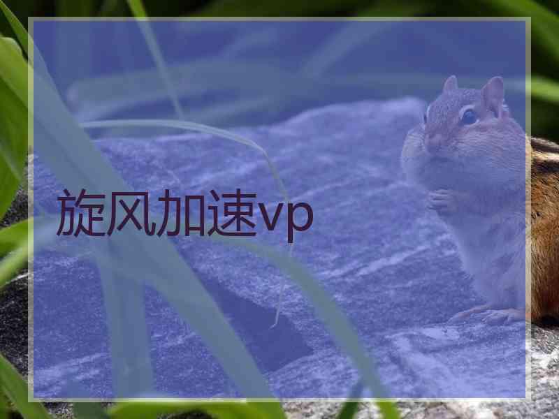 旋风加速vp