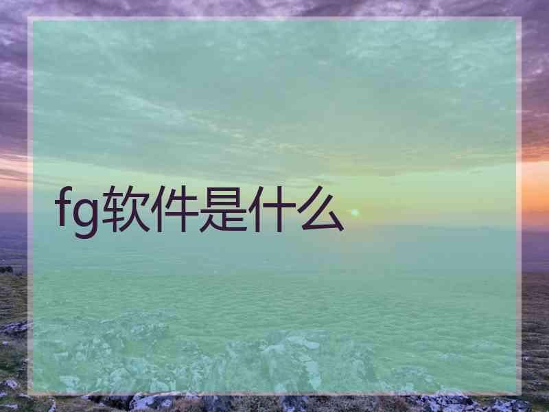 fg软件是什么