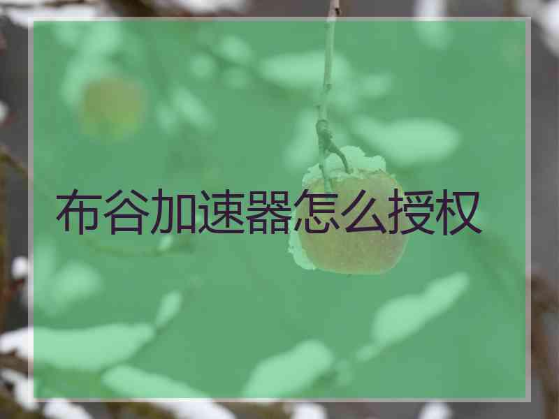 布谷加速器怎么授权