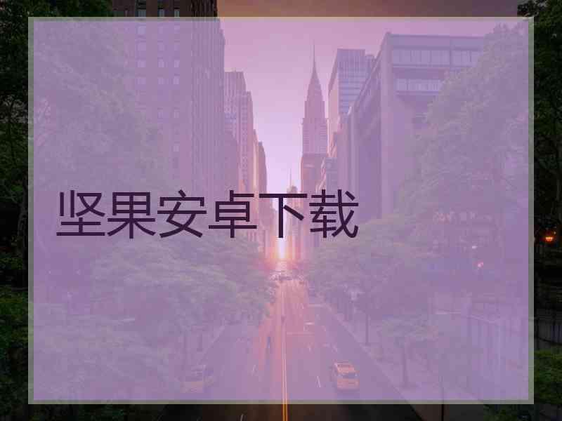 坚果安卓下载
