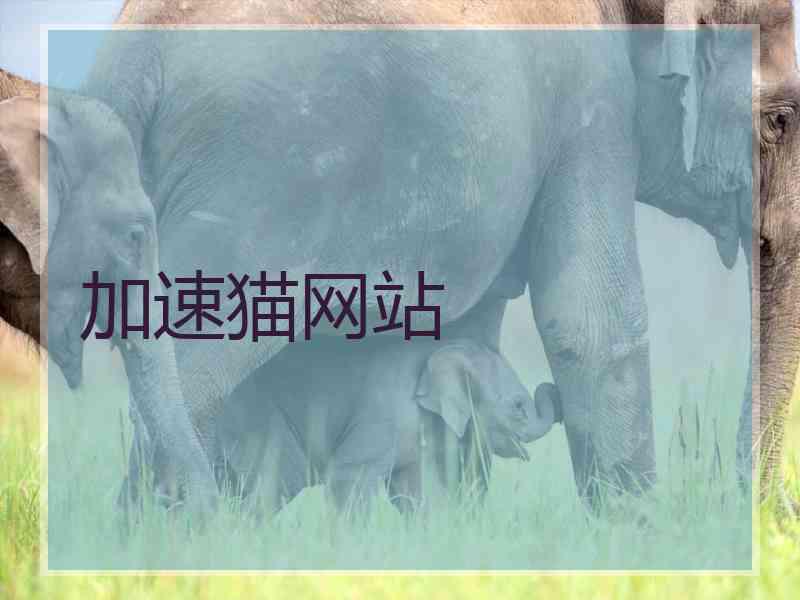 加速猫网站