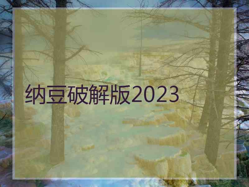 纳豆破解版2023