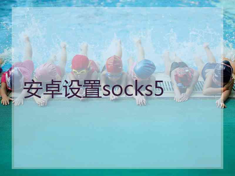 安卓设置socks5