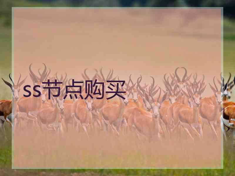 ss节点购买