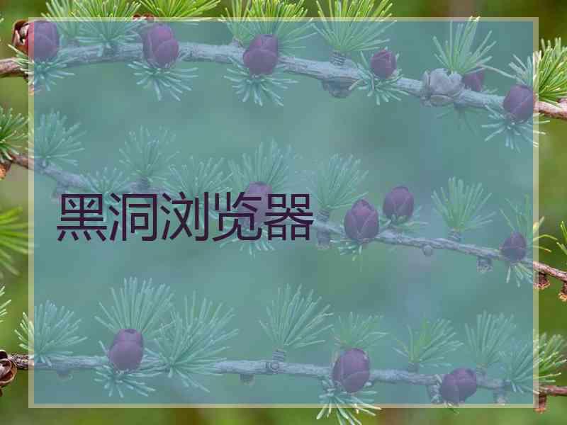 黑洞浏览器