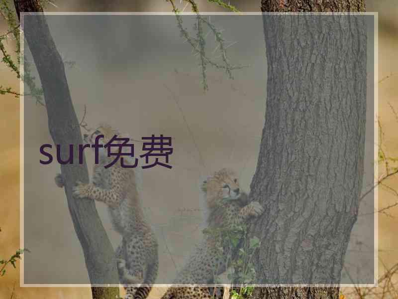 surf免费