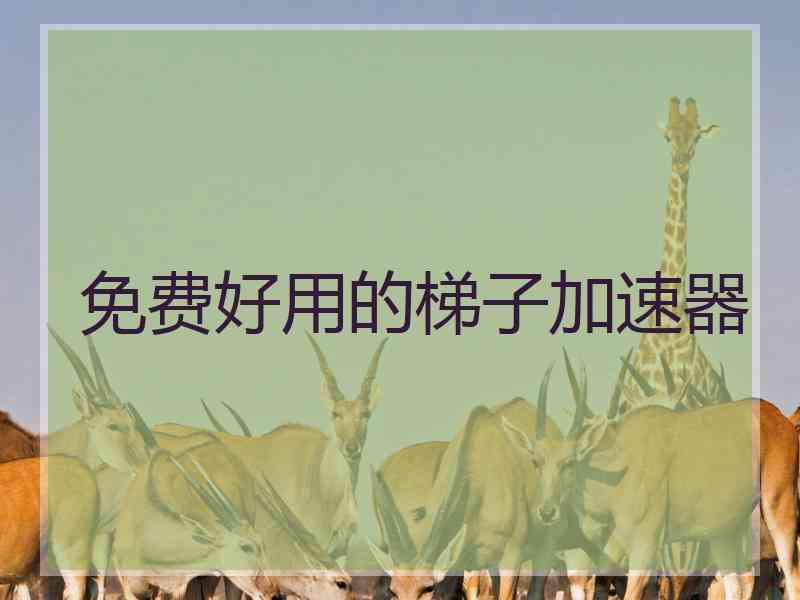 免费好用的梯子加速器