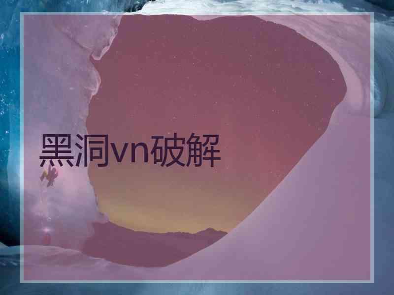 黑洞vn破解