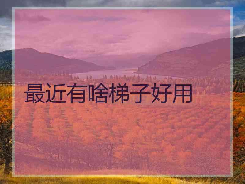 最近有啥梯子好用