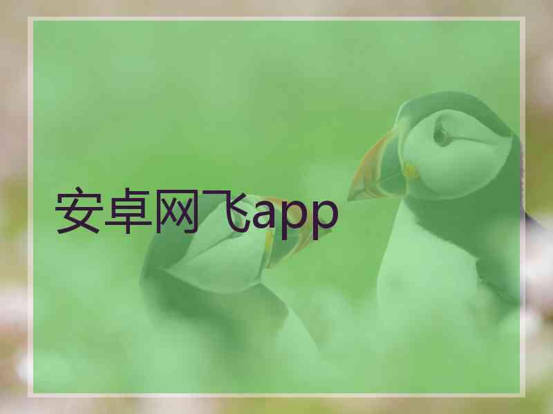 安卓网飞app