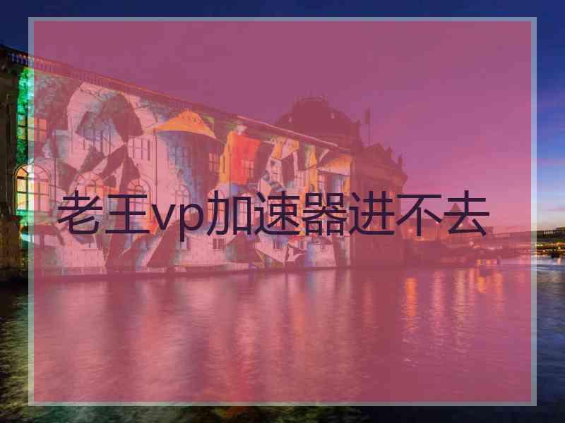 老王vp加速器进不去