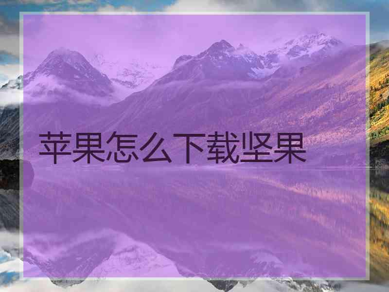 苹果怎么下载坚果