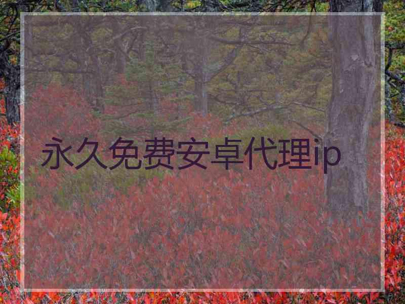永久免费安卓代理ip