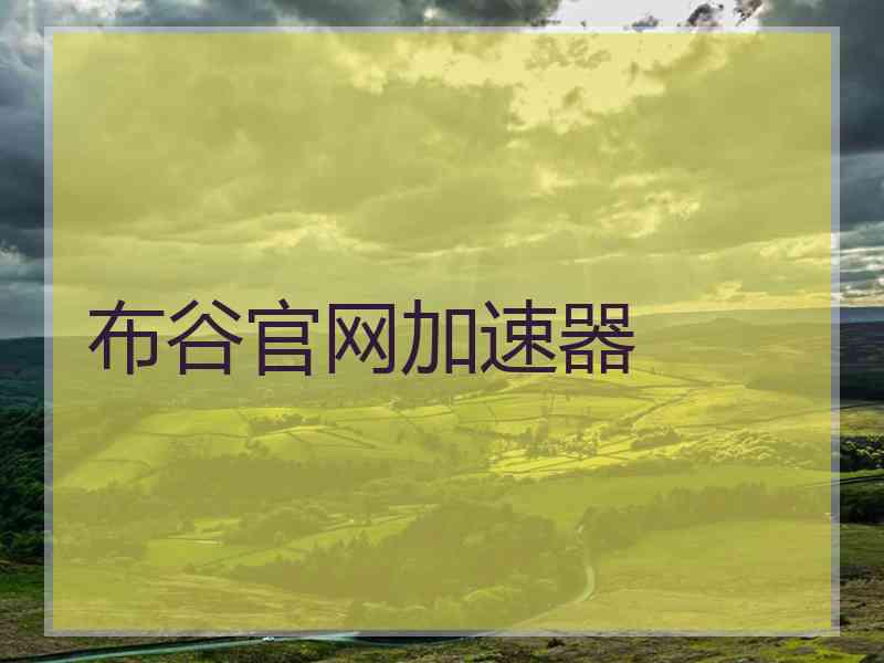 布谷官网加速器