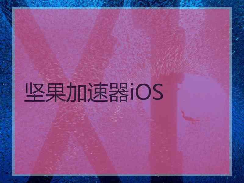坚果加速器iOS