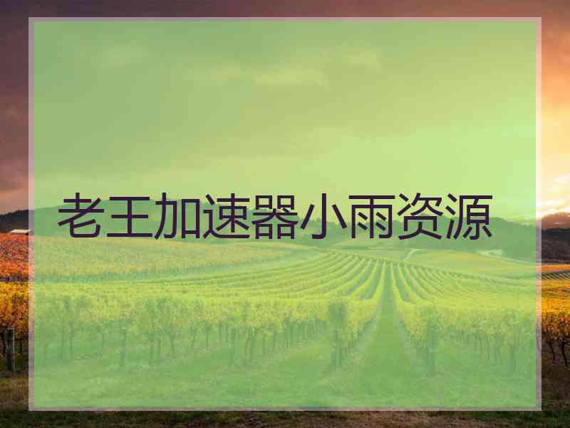 老王加速器小雨资源