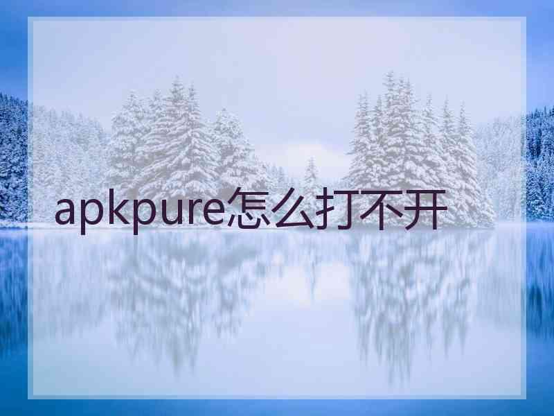 apkpure怎么打不开