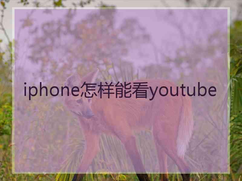 iphone怎样能看youtube