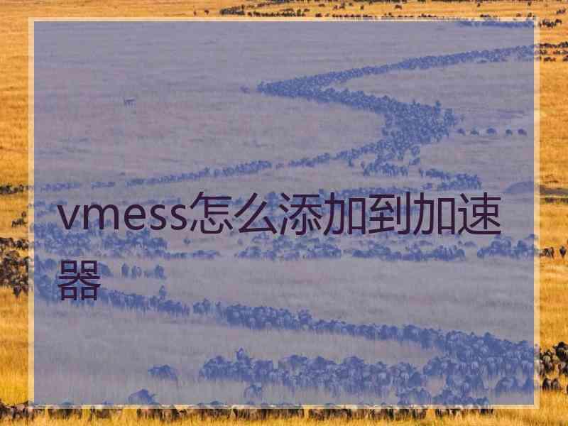 vmess怎么添加到加速器