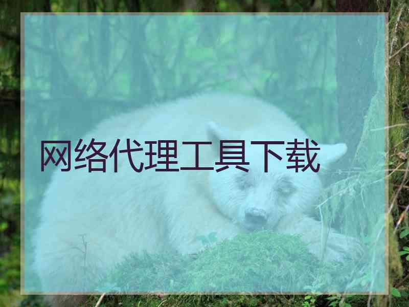 网络代理工具下载
