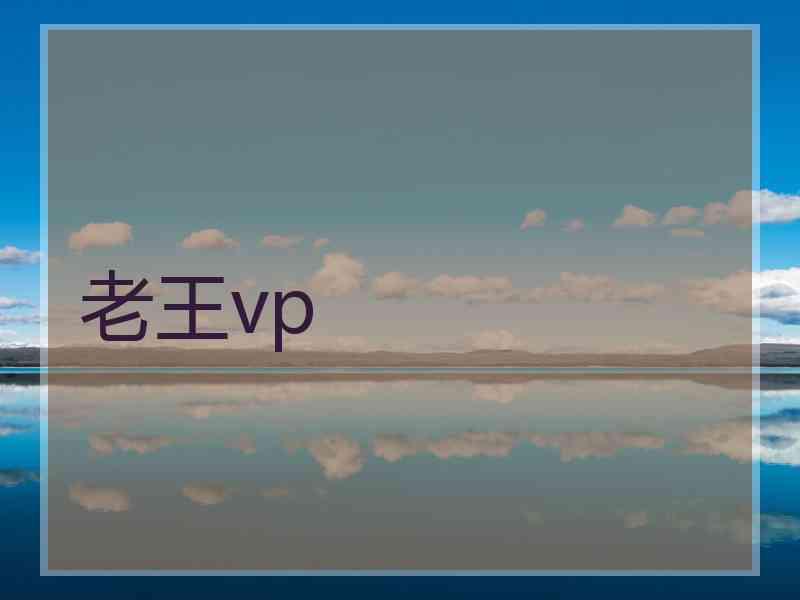 老王vp