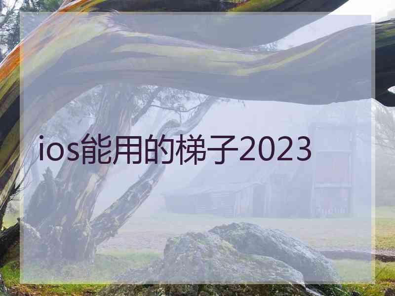 ios能用的梯子2023