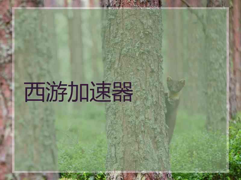 西游加速器