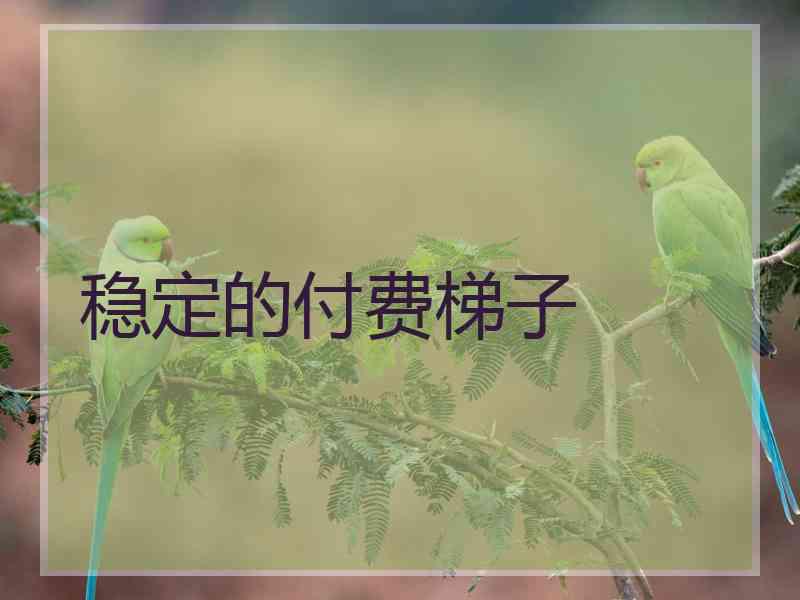 稳定的付费梯子