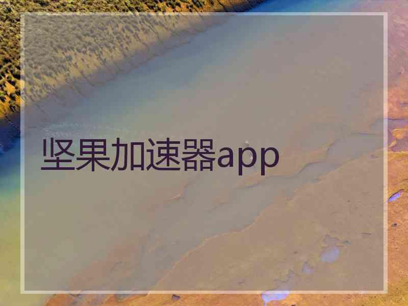 坚果加速器app