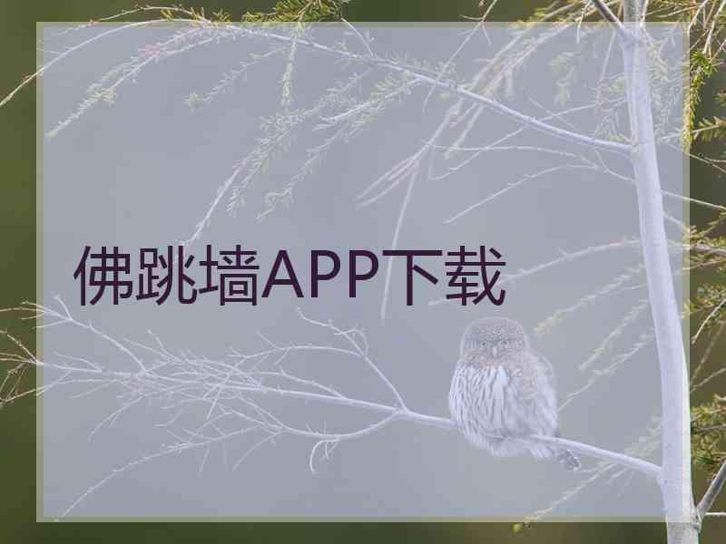 佛跳墙APP下载