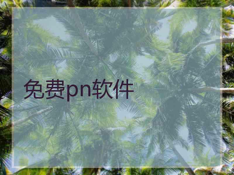 免费pn软件