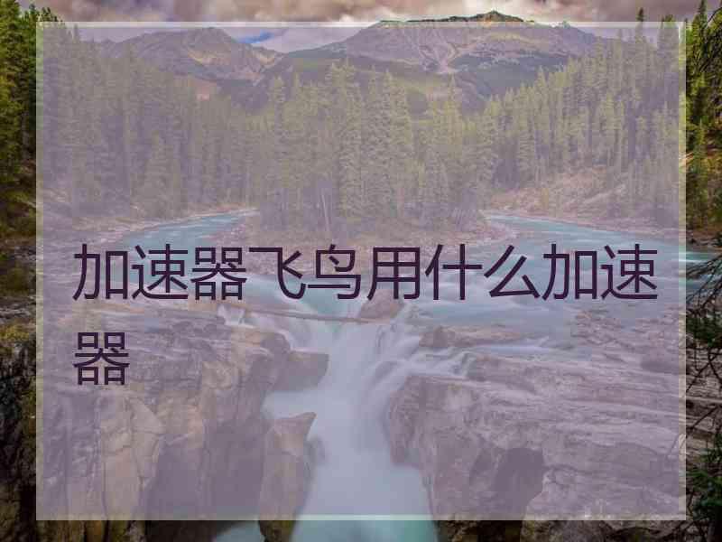 加速器飞鸟用什么加速器