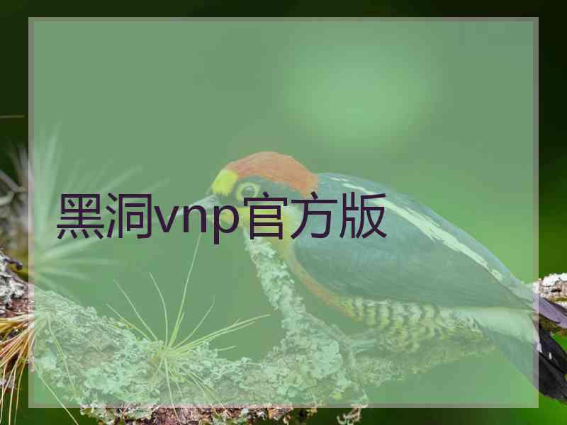 黑洞vnp官方版