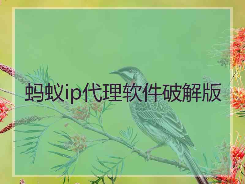 蚂蚁ip代理软件破解版