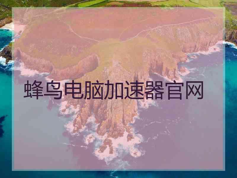 蜂鸟电脑加速器官网