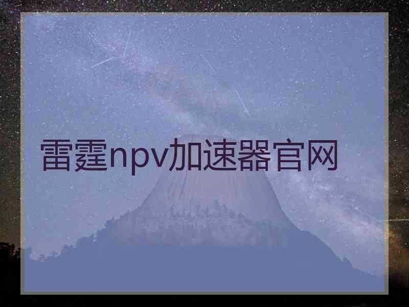 雷霆npv加速器官网