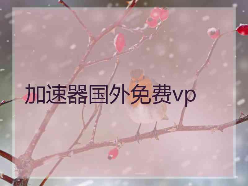加速器国外免费vp