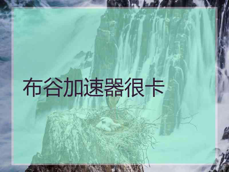 布谷加速器很卡