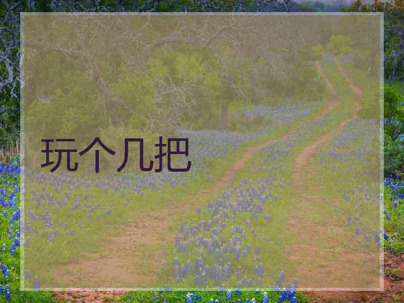 玩个几把
