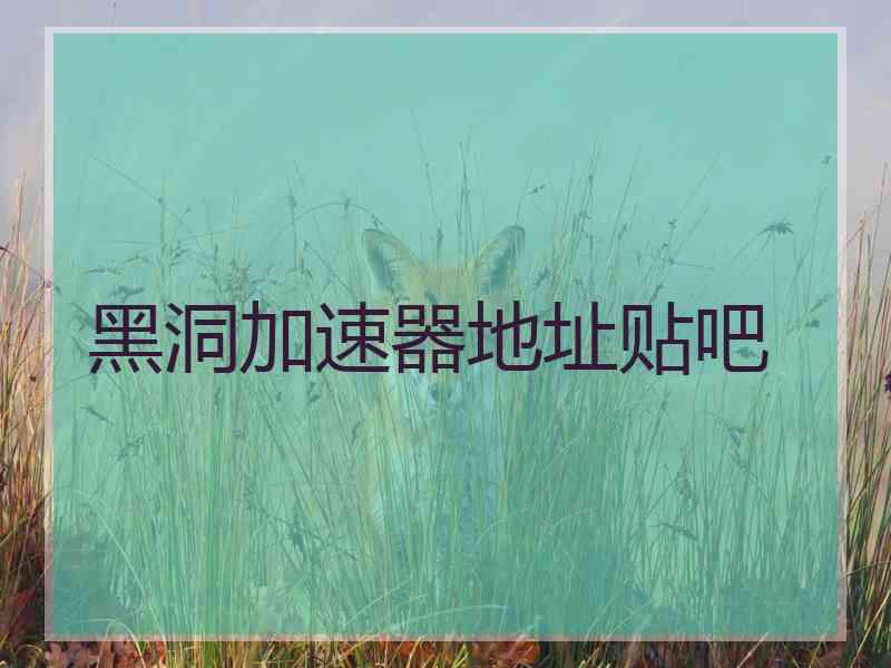 黑洞加速器地址贴吧