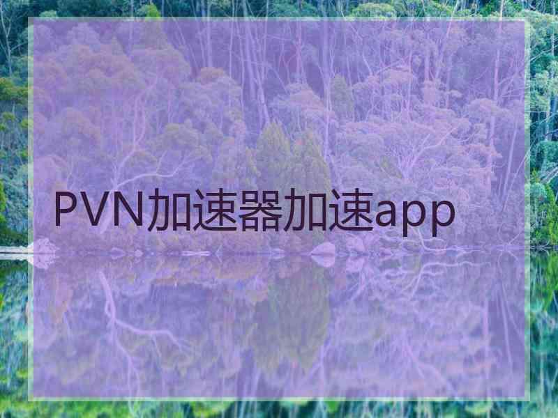 PVN加速器加速app