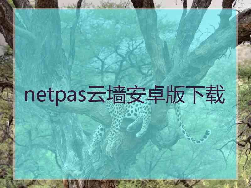 netpas云墙安卓版下载